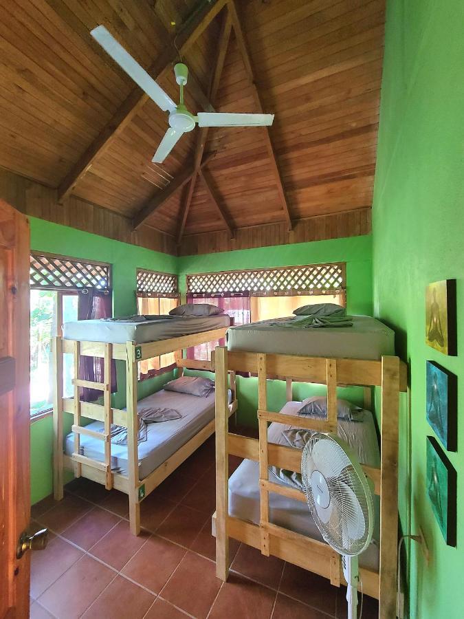 Casa Terra Hostel Samara Luaran gambar